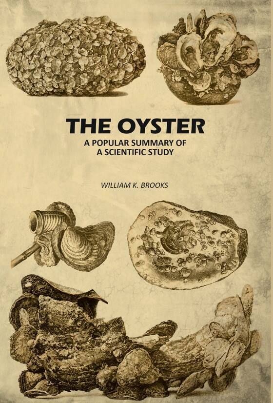 The Oyster: A Popular Summary of A Scientific Study - Gyan Books  Grab2Buy Gyan Books Grab2Buy