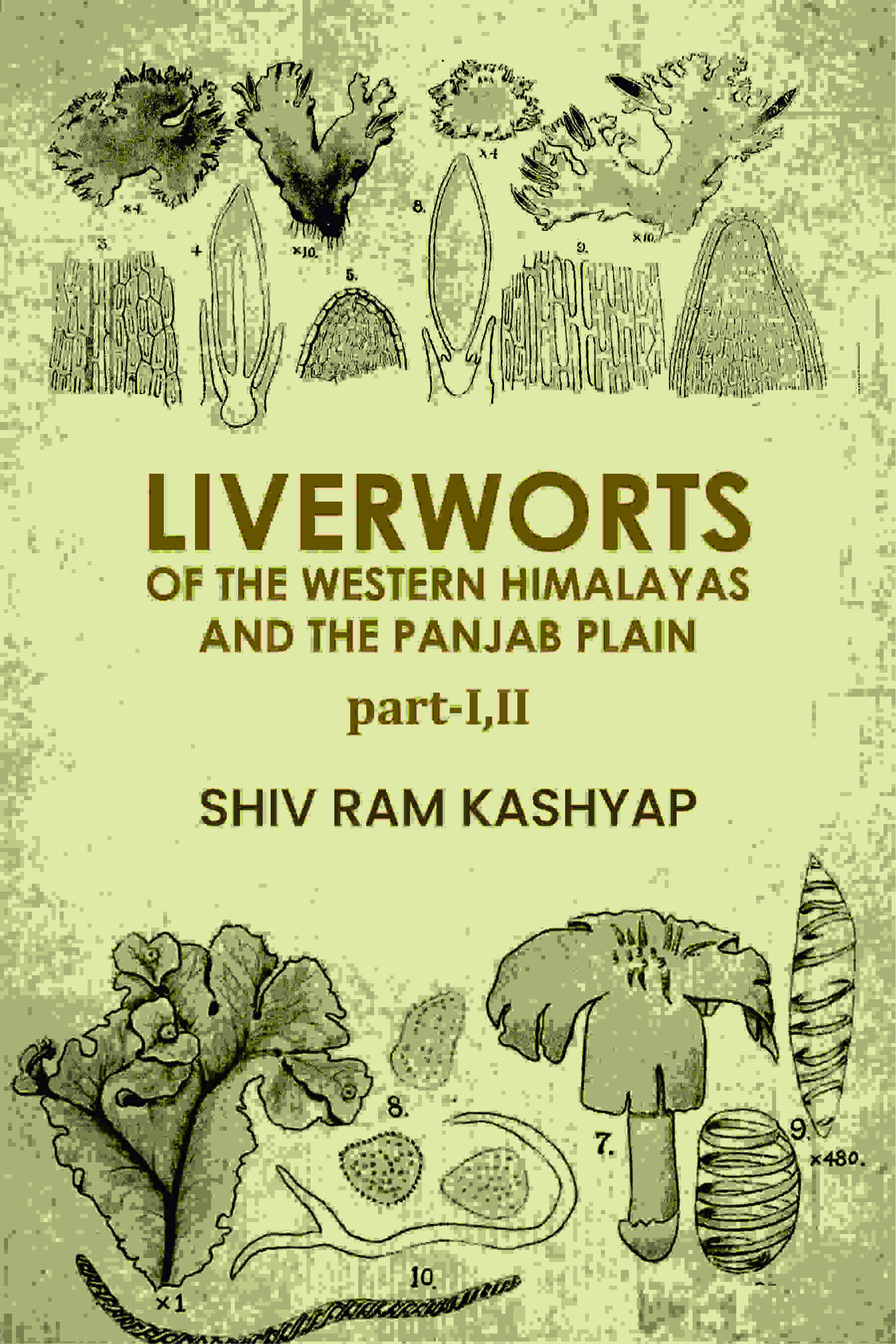 Liverworts Of The Western Himalayas And The Panjab Plain (Part 1 and 2) - Gyan Books