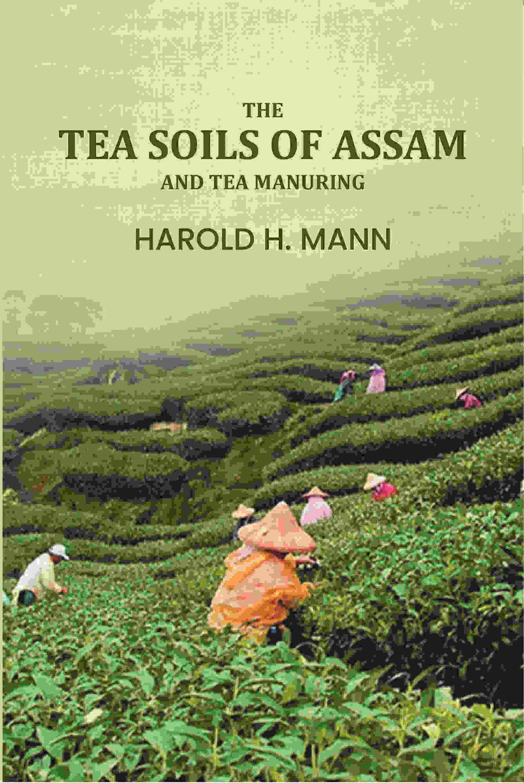 The Tea soils of Assam and tea manuring - Gyan Books  Grab2Buy Gyan Books Grab2Buy