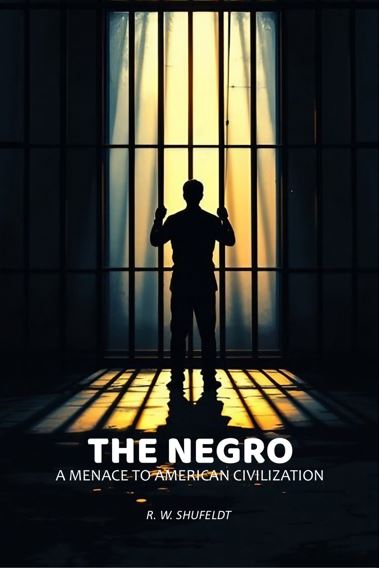 The Negro: A Menace To American Civilization - Gyan Books  Grab2Buy Gyan Books Grab2Buy