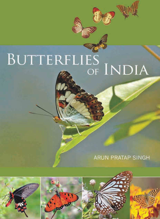 Butterflies of India by Arun Pratap Singh - Om Books - Distacart