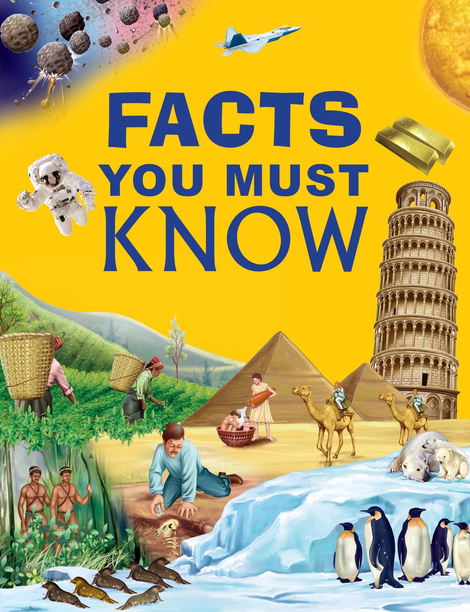 Facts You Must Know (Binder) - Om Books