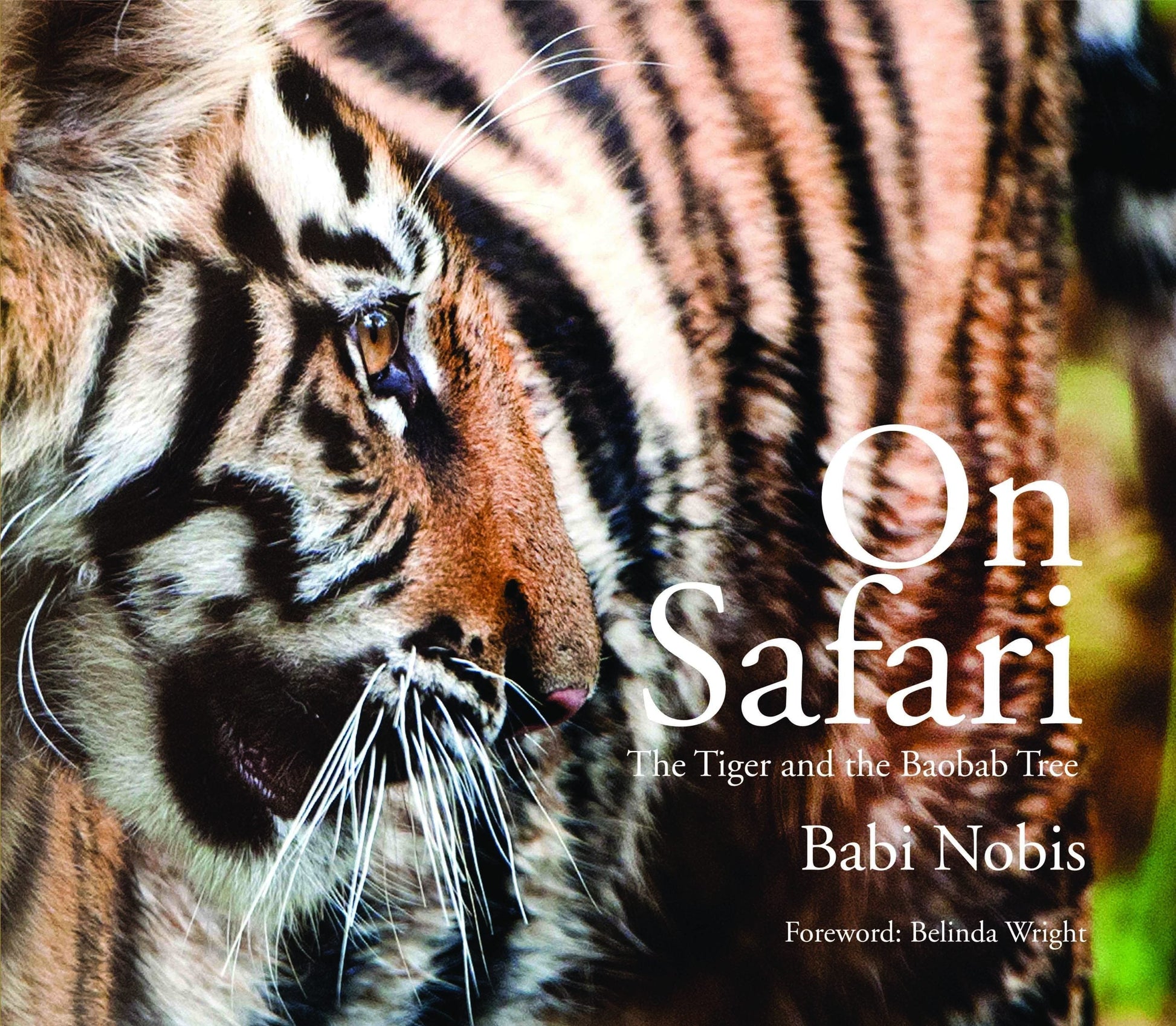 On Safari : The Tiger and The Baobab Tree by Babi Nobis - Om Books 
