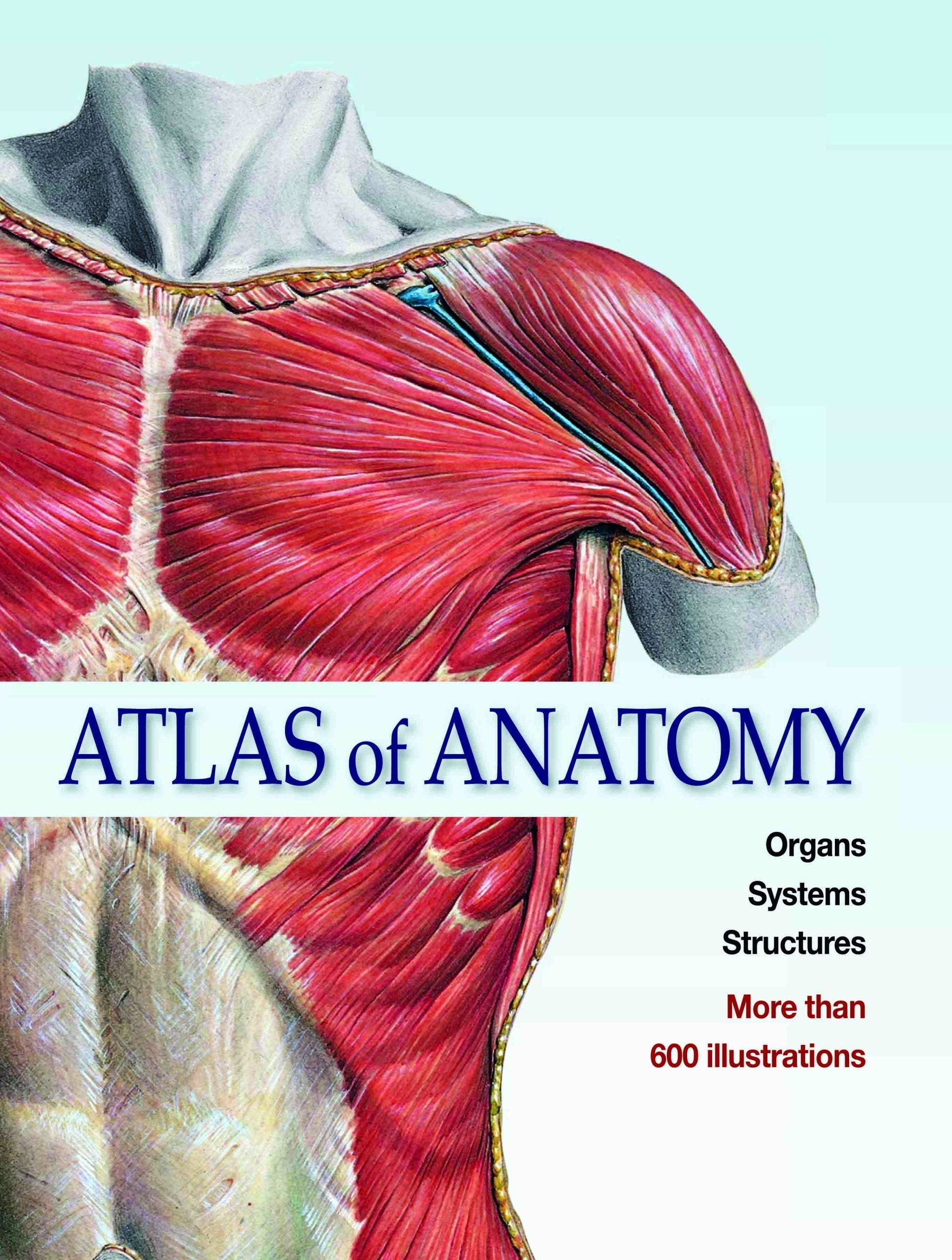 Atlas of Anatomy Organs Systems Structures by Johannes Sobotta - Om Books - Distacart
