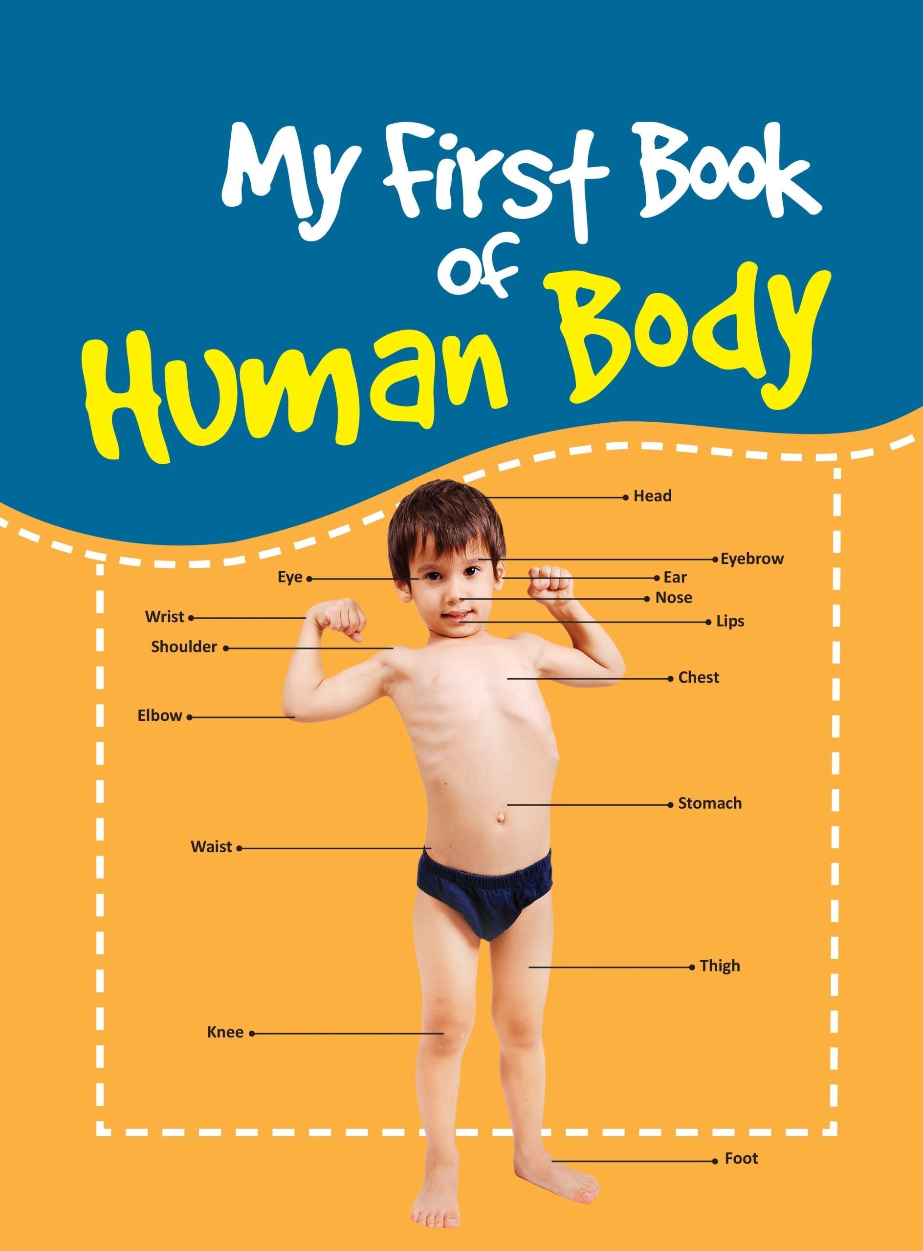 My First Book of Human Body - Om Books 