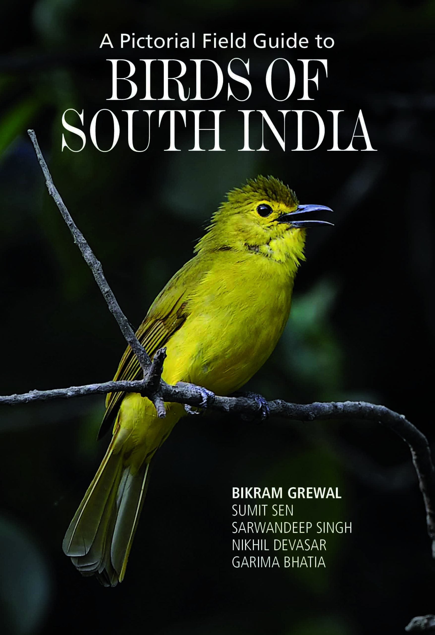 Birds of Southern India by Richard Grimmett,Tim Inskipp - Om Books - Distacart
