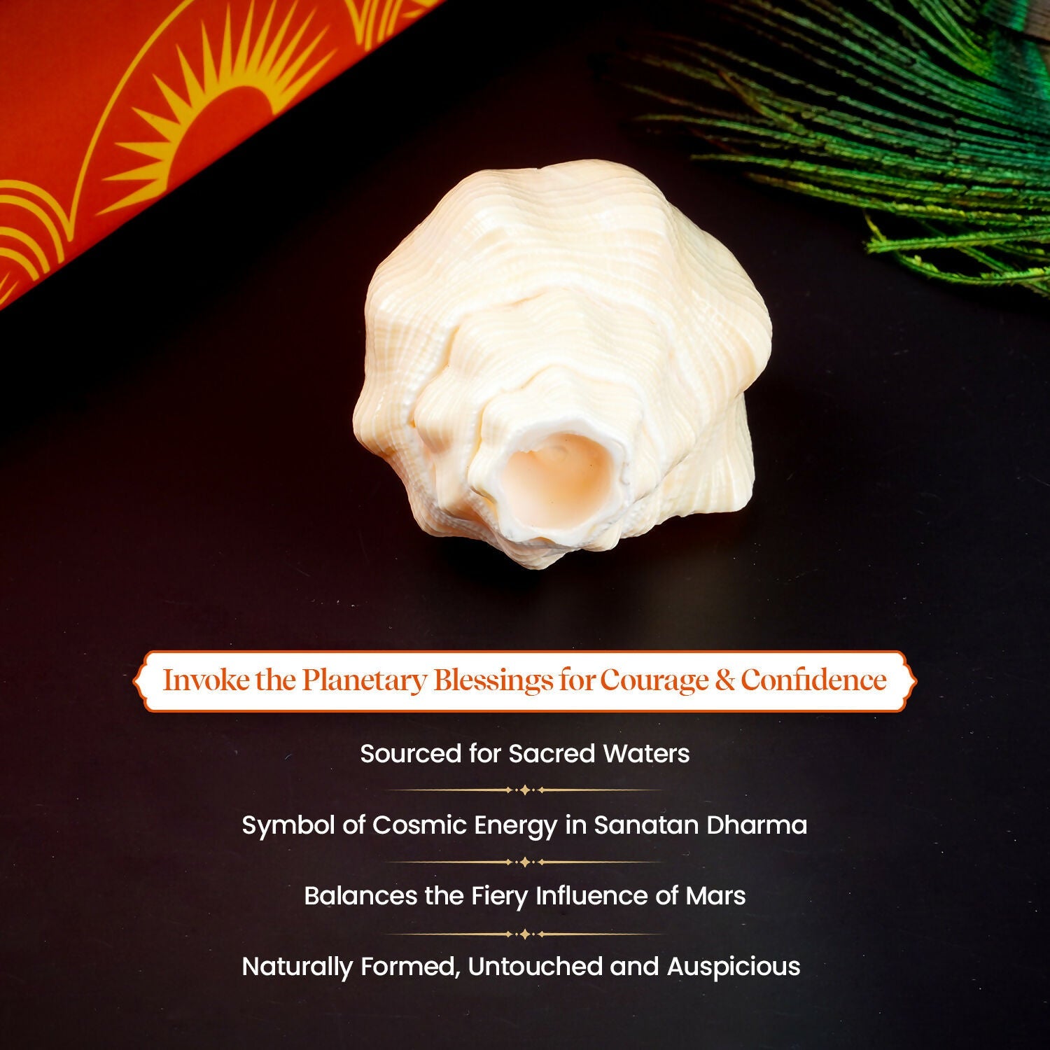 Pujashree Mangal Shankh – Navagraha Conch For Strength, Courage & Protection