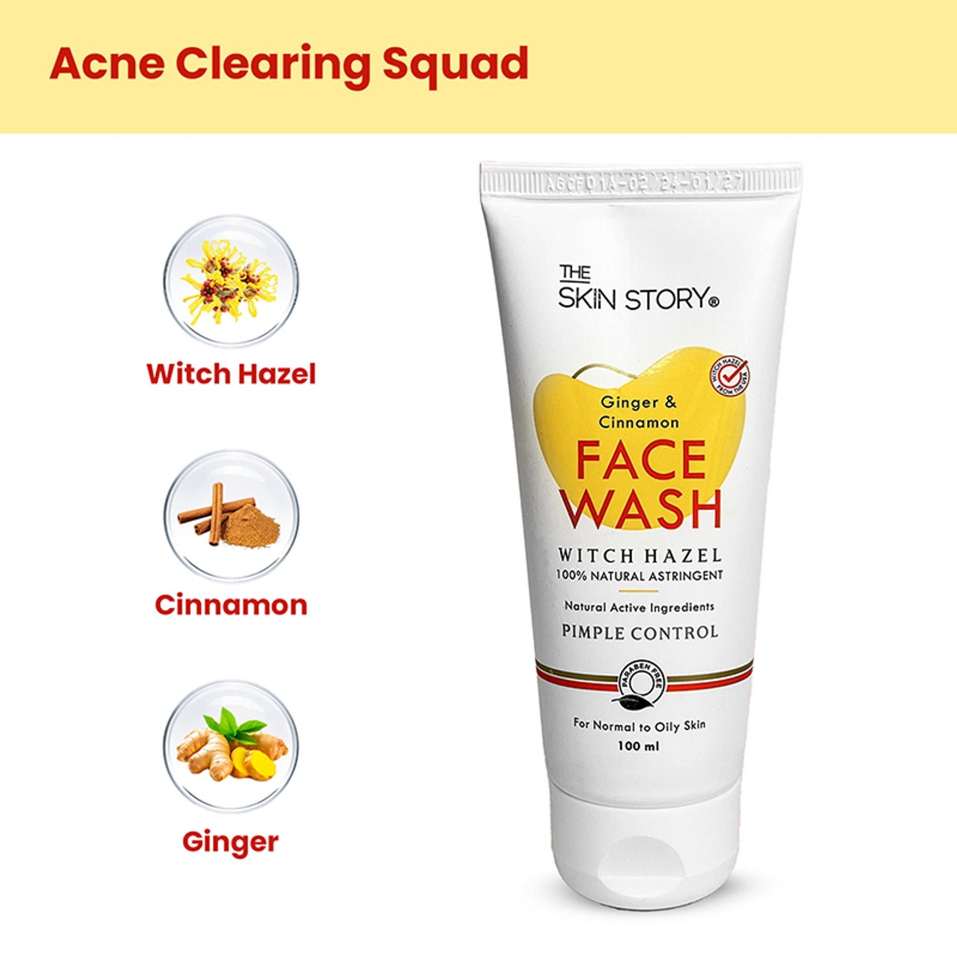 The Skin Story Oil & Pimple Control Ginger Cinnamon Face Wash  Grab2Buy The Skin Story Grab2Buy