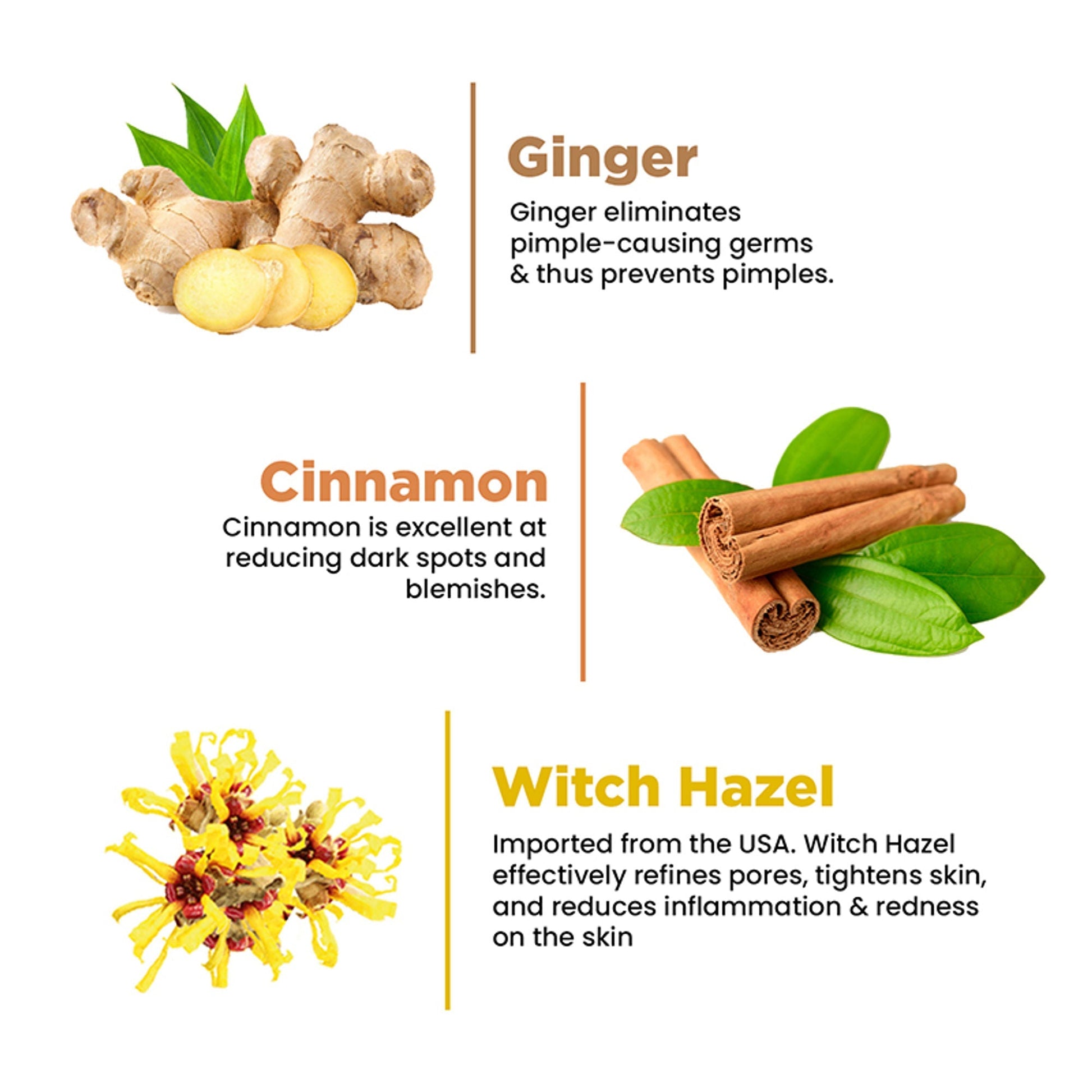 The Skin Story Oil & Pimple Control Ginger Cinnamon Face Wash  Grab2Buy The Skin Story Grab2Buy