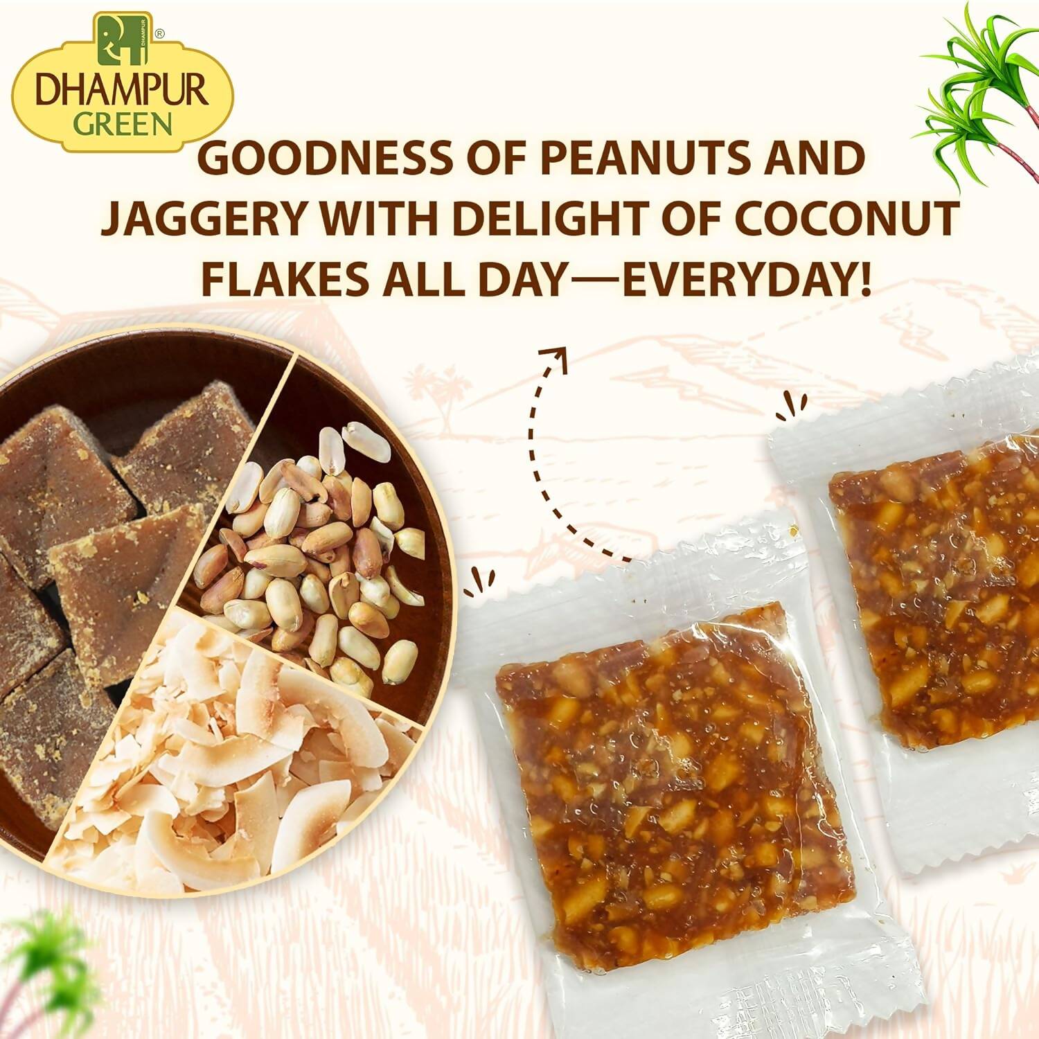 Dhampur Green Coconut Peanut Chikki 