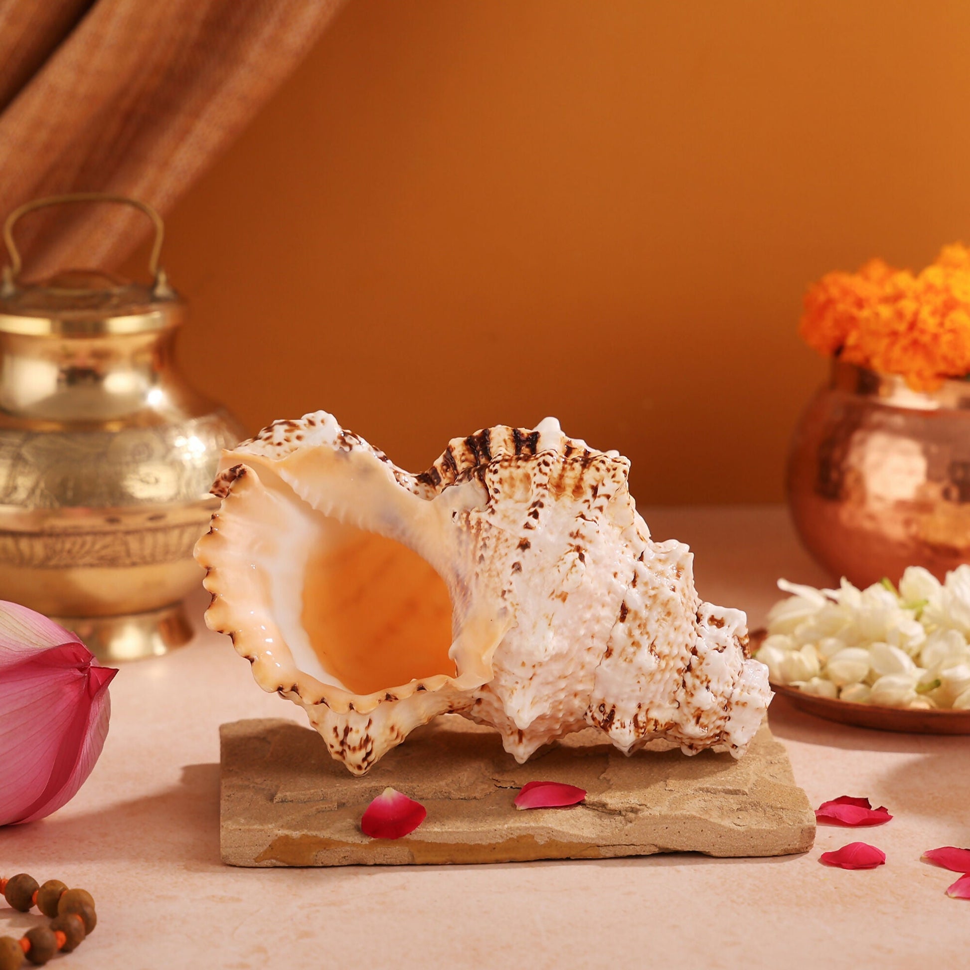 Pujashree Laxmi Shankh – Divine Conch