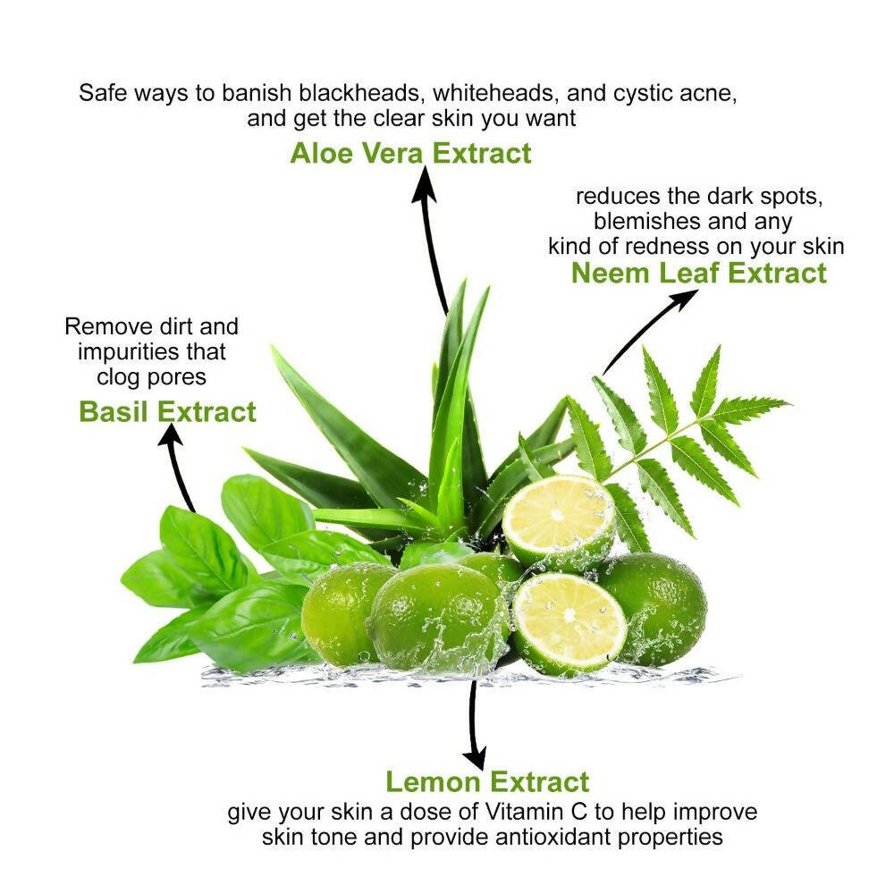 Astaberry Neem & Aloe Face Wash with Lemon & Basil Extracts 