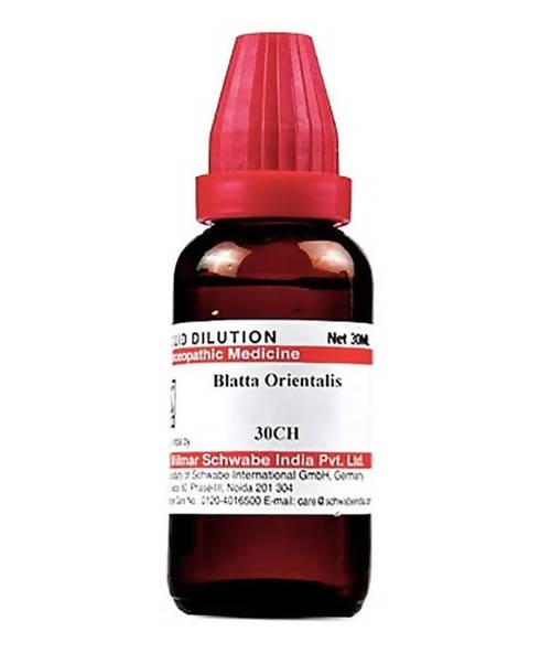 Dr. Willmar Schwabe India Blatta Orientalis Dilution 