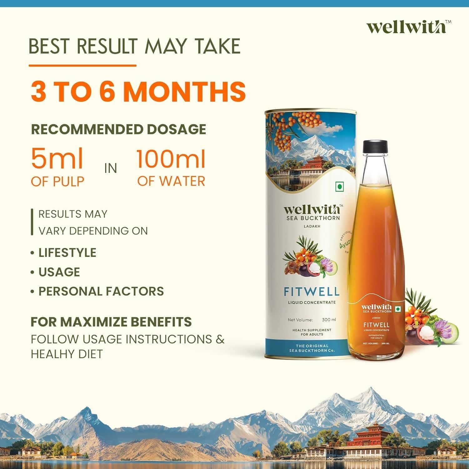 Wellwith Fitwell Juice – Himalayan Sea Buckthorn + Garcinia, Kokum & Punarnava  Grab2Buy Wellwith Grab2Buy