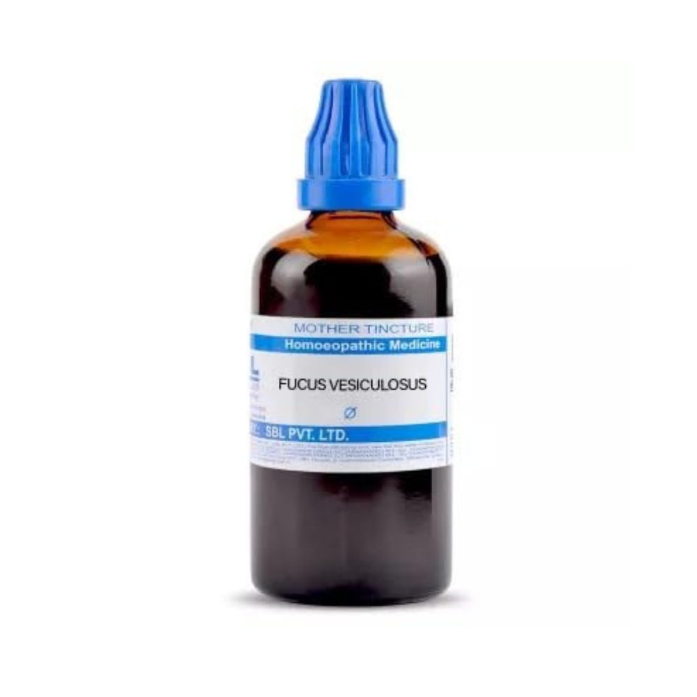 SBL Homeopathy Fucus Vesiculosus Mother Tincture Q - Grab2buy