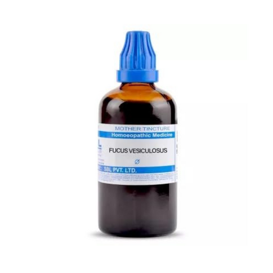 SBL Homeopathy Fucus Vesiculosus Mother Tincture Q - Grab2buy