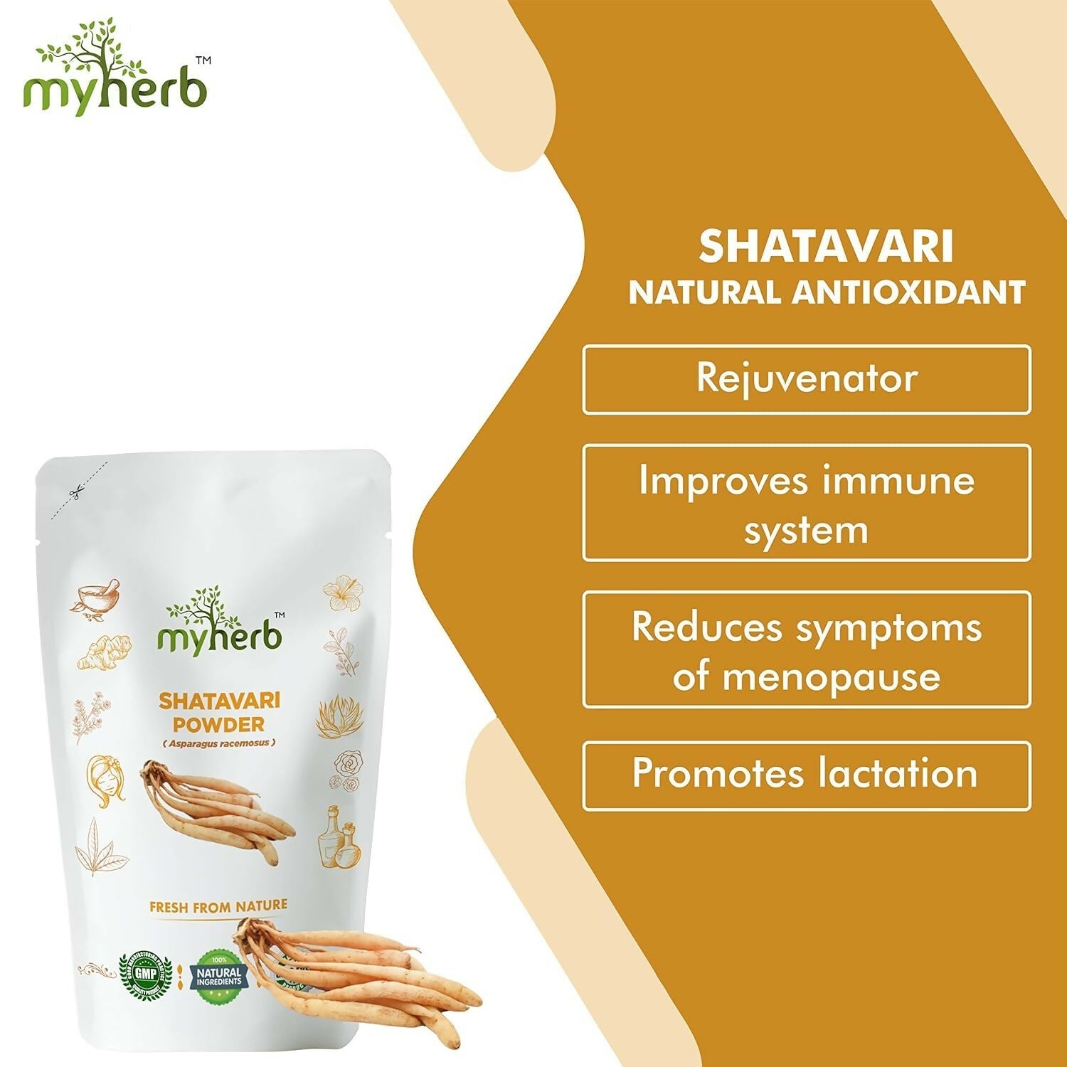 Myherb Natural Organic Shatavari Powder 