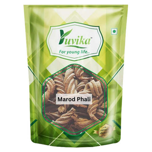 Yuvika Marod Phali - Marori - Helicteres Isora - Avaitini Screw Beans 