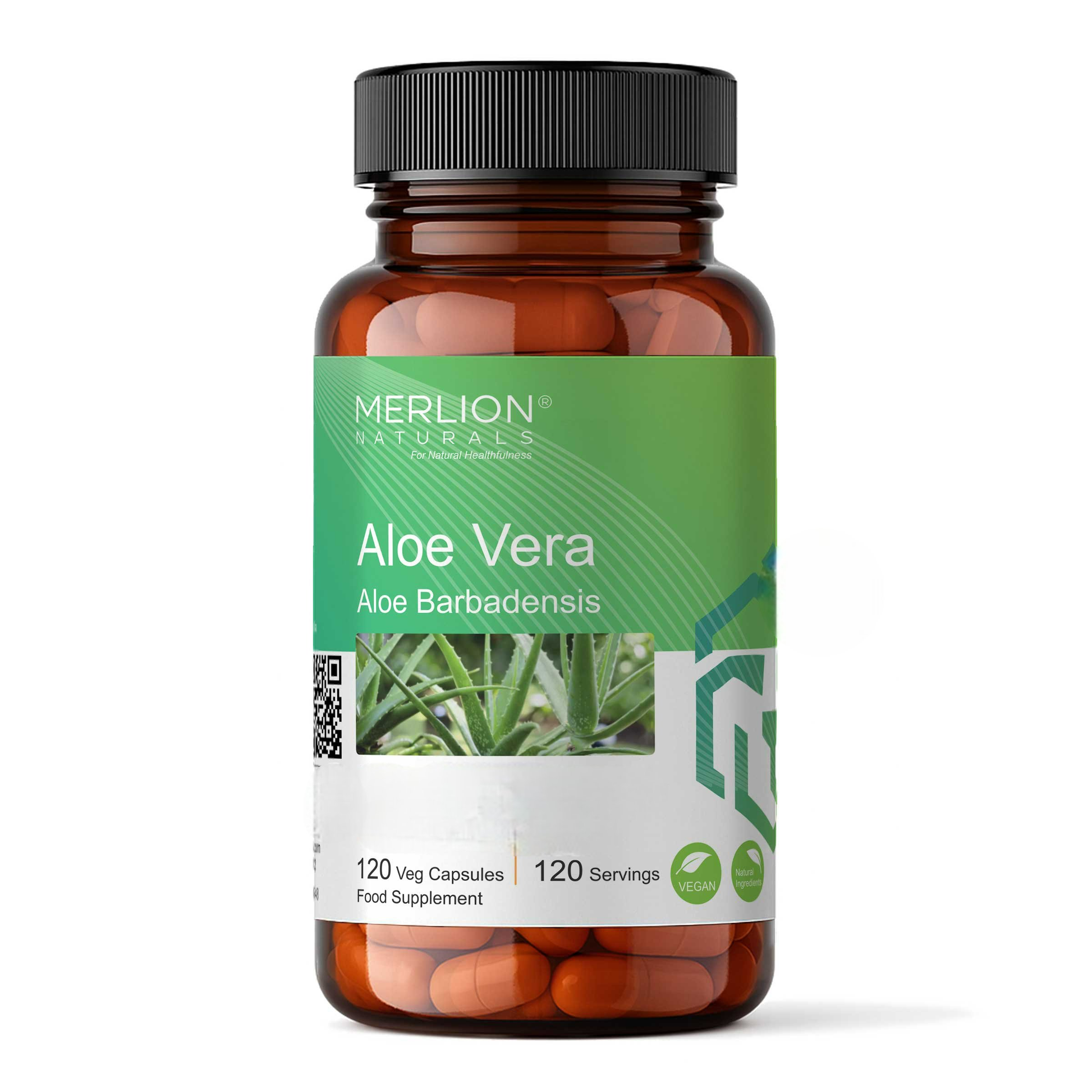 Merlion Naturals Aloe Vera 100mg Capsules 