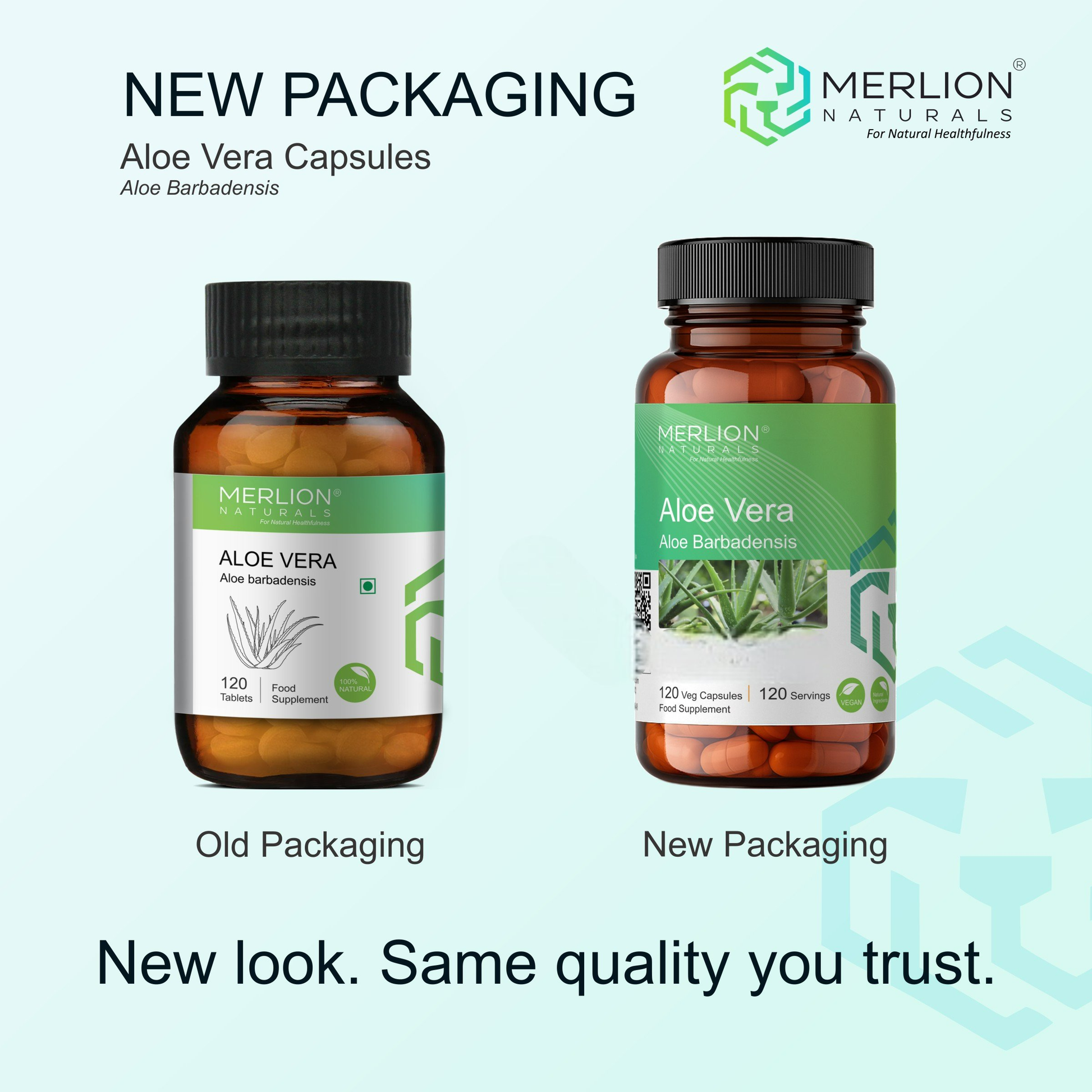 Merlion Naturals Aloe Vera 100mg Capsules 