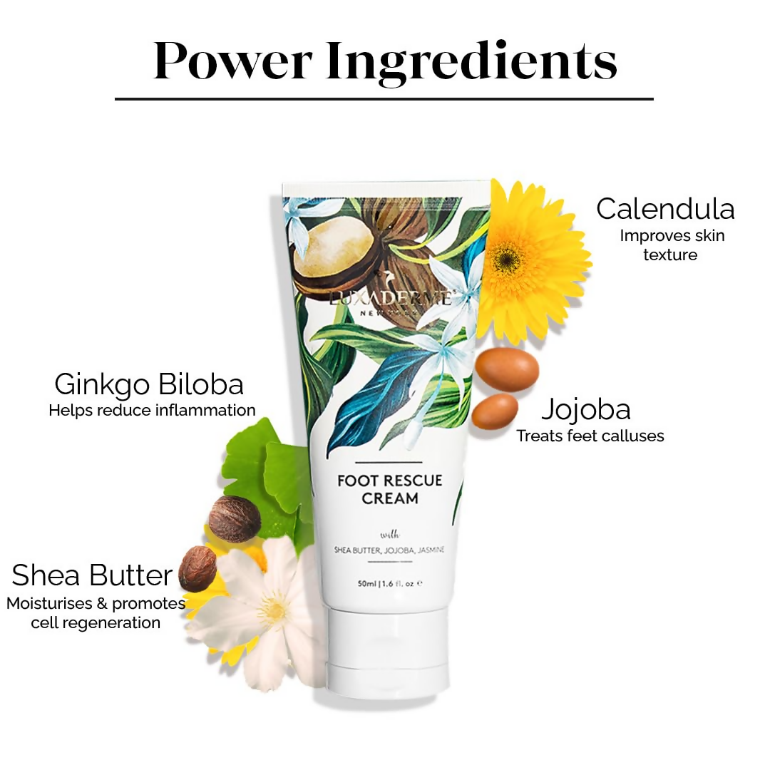 download - 2024-11-11T160206.930