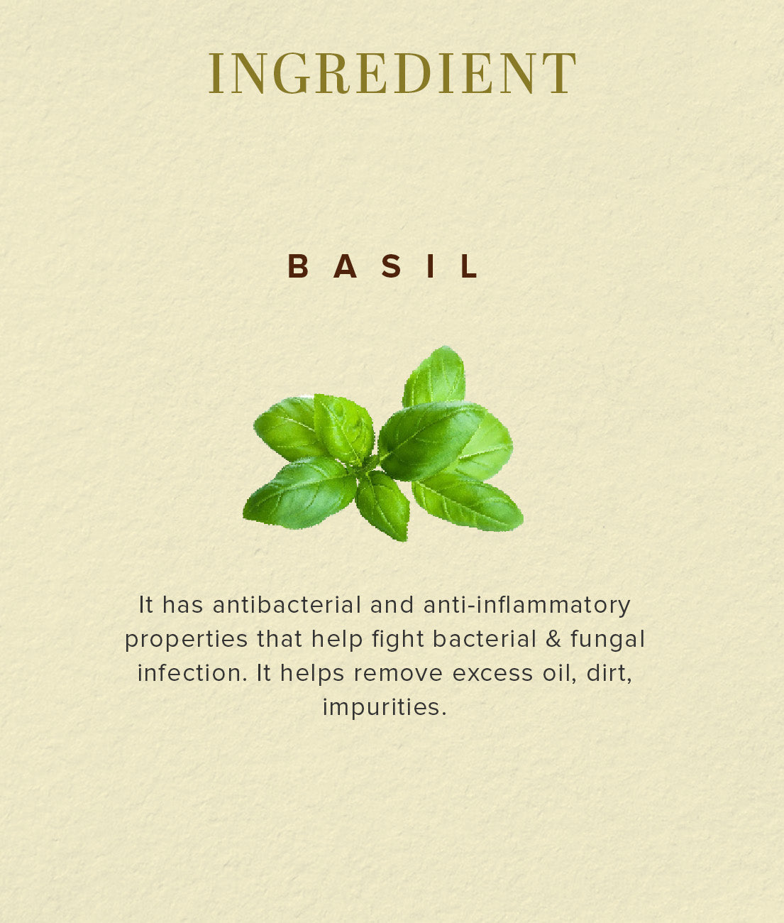 Khadi Natural Herbal Basil Scrub Soap 125gm 