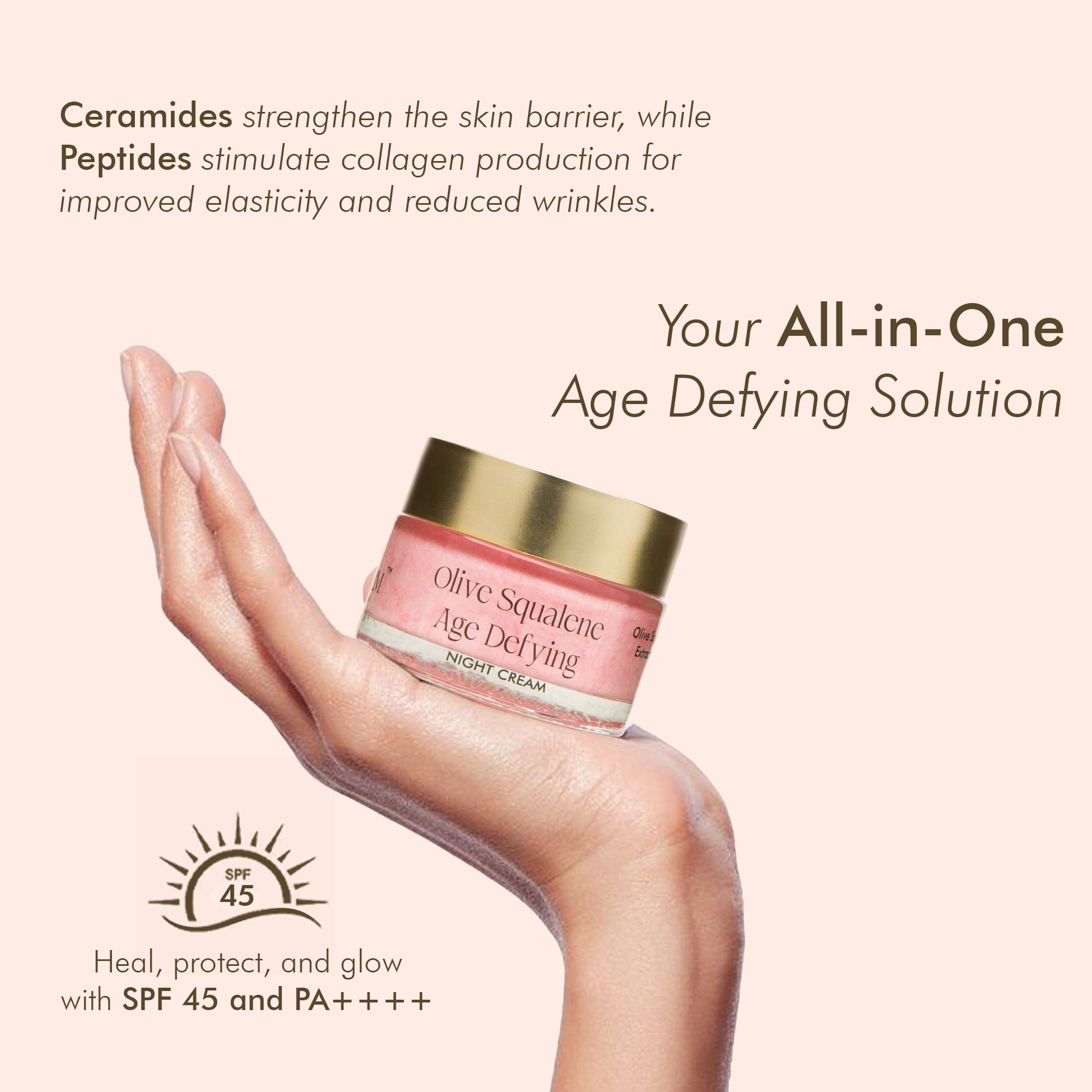 VedicDerm Olive Squalene Age Defying Night Cream with 24K Gold & Ceramides  Grab2Buy VedicDerm Grab2Buy