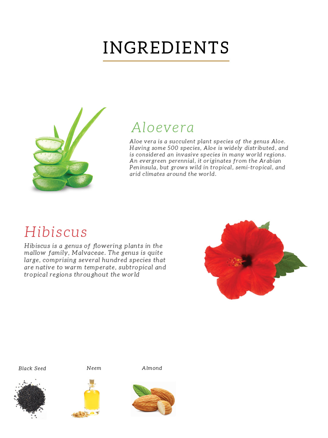 Khadi Natural Hibiscus & Aloe Vera Hair Oil - Mineral Oil, Silicones, Synthetic Fragrance Free - 200ml 