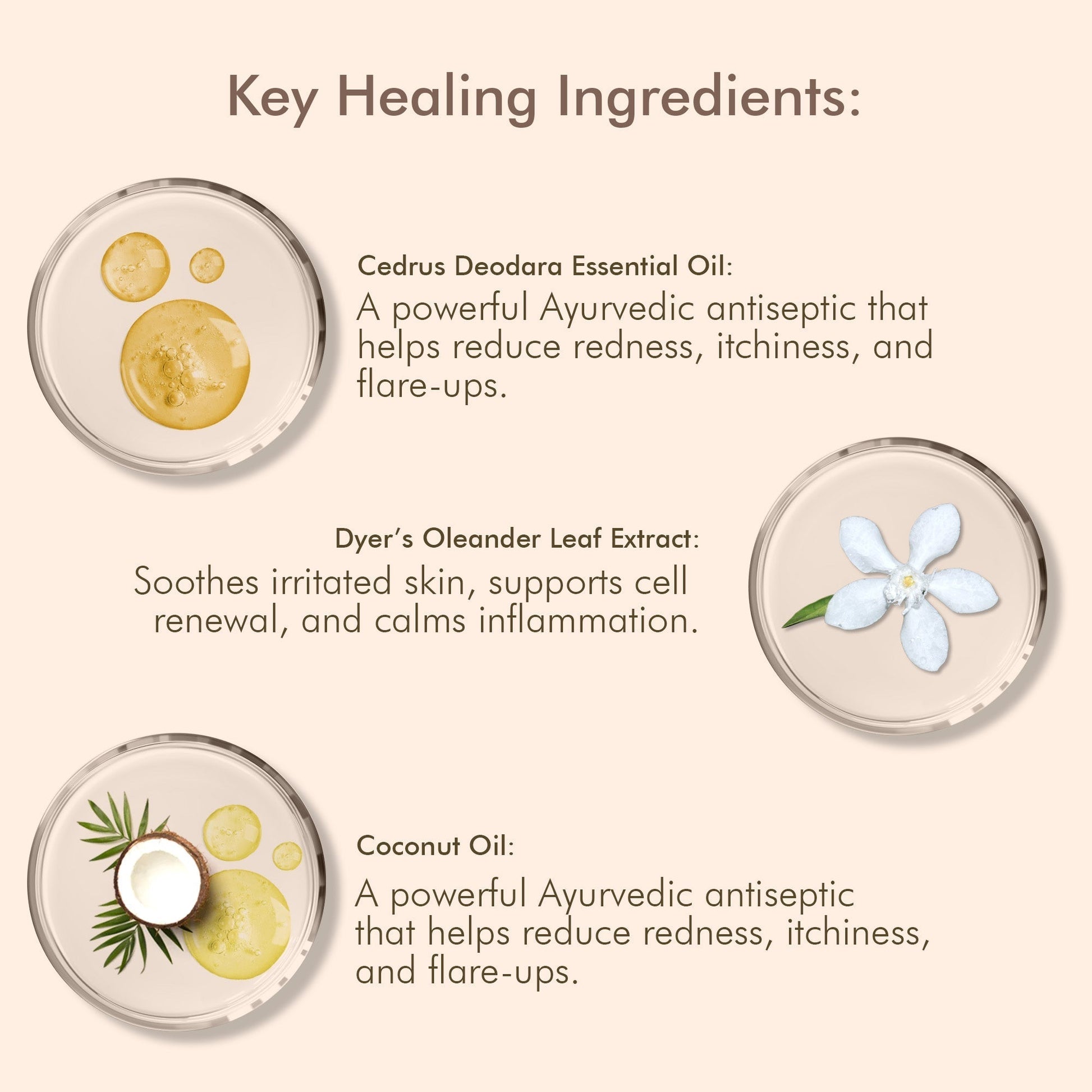 VedicDerm Oleander's Oil for Psoriasis, Eczema, and Atopic Dermatitis  Grab2Buy VedicDerm Grab2Buy