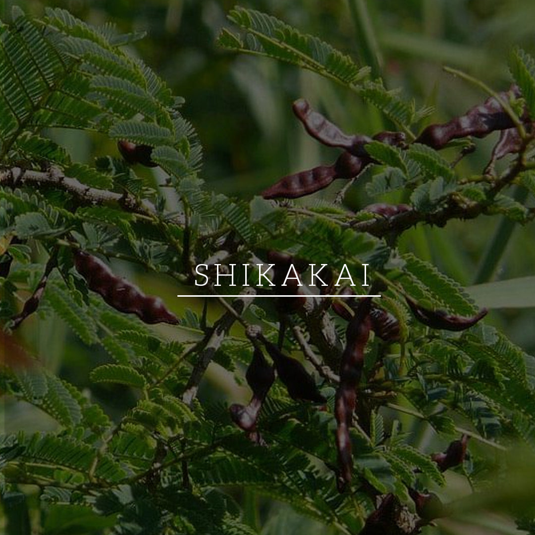 Khadi Natural Shikakai & Honey Shampoo - Powered Botanics - 310ml 