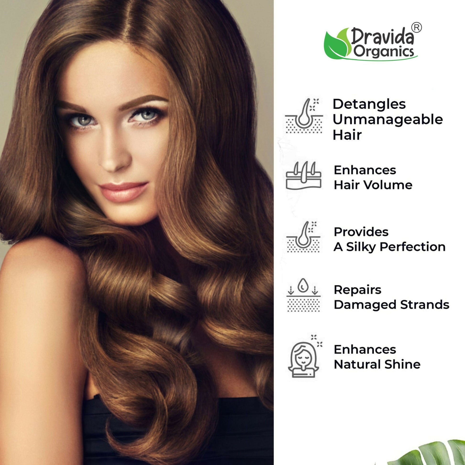 Dravida Organics Red Onion Black Seed Oil Hair Conditioner