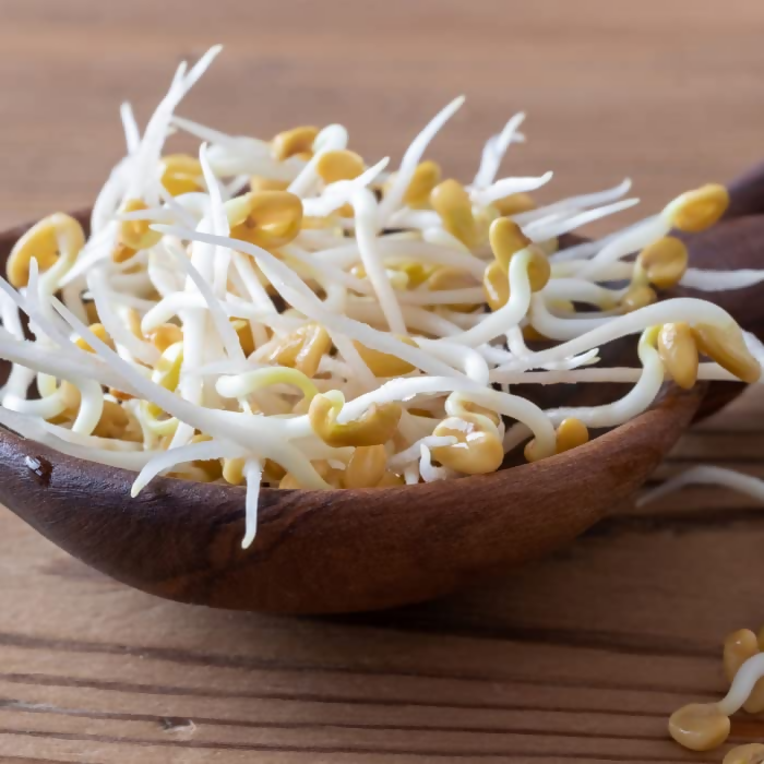 Village-Organica Methi Dana-Whole Fenugreek Seeds  Grab2Buy Village-Organica Grab2Buy