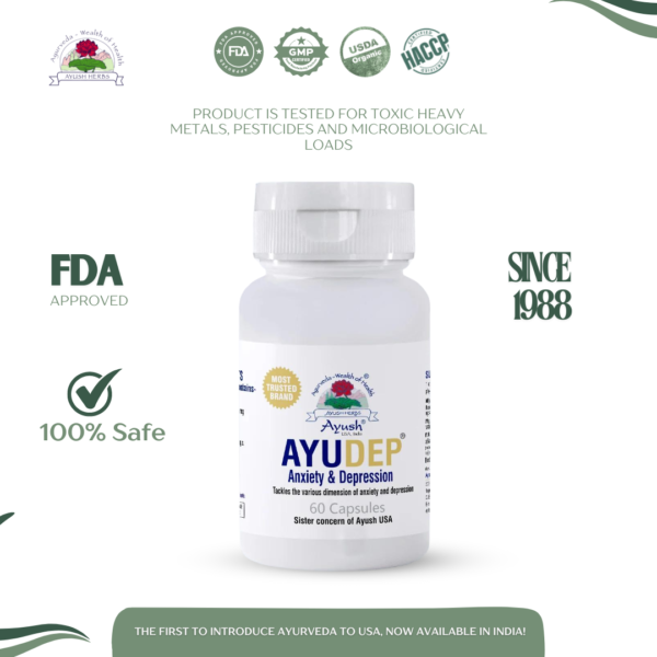 Ayush Herbs Ayudep Anxiety & Depression 60 Capsules 