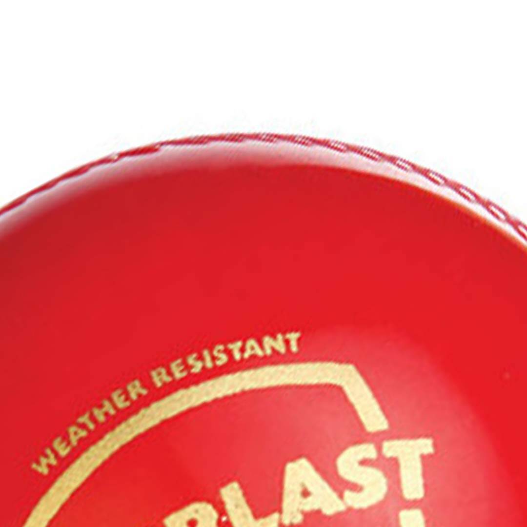 SG Everlast Leather Cricket Ball - Red 