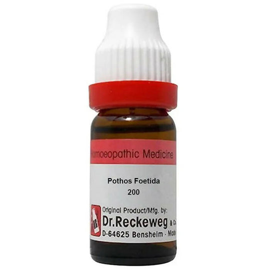 Dr. Reckeweg Pothos Foetida Dilution - Distacart