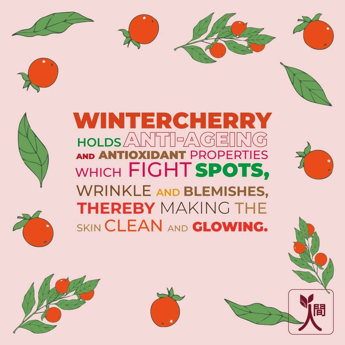 Ningen Winter Cherry Cold Cream 