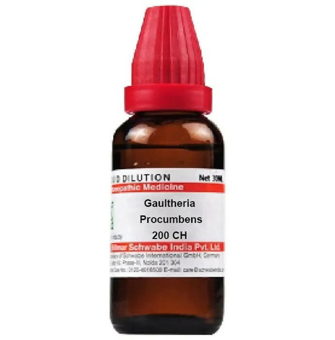 Dr. Willmar Schwabe India Gaultheria Procumbens Dilution - Grab2buy