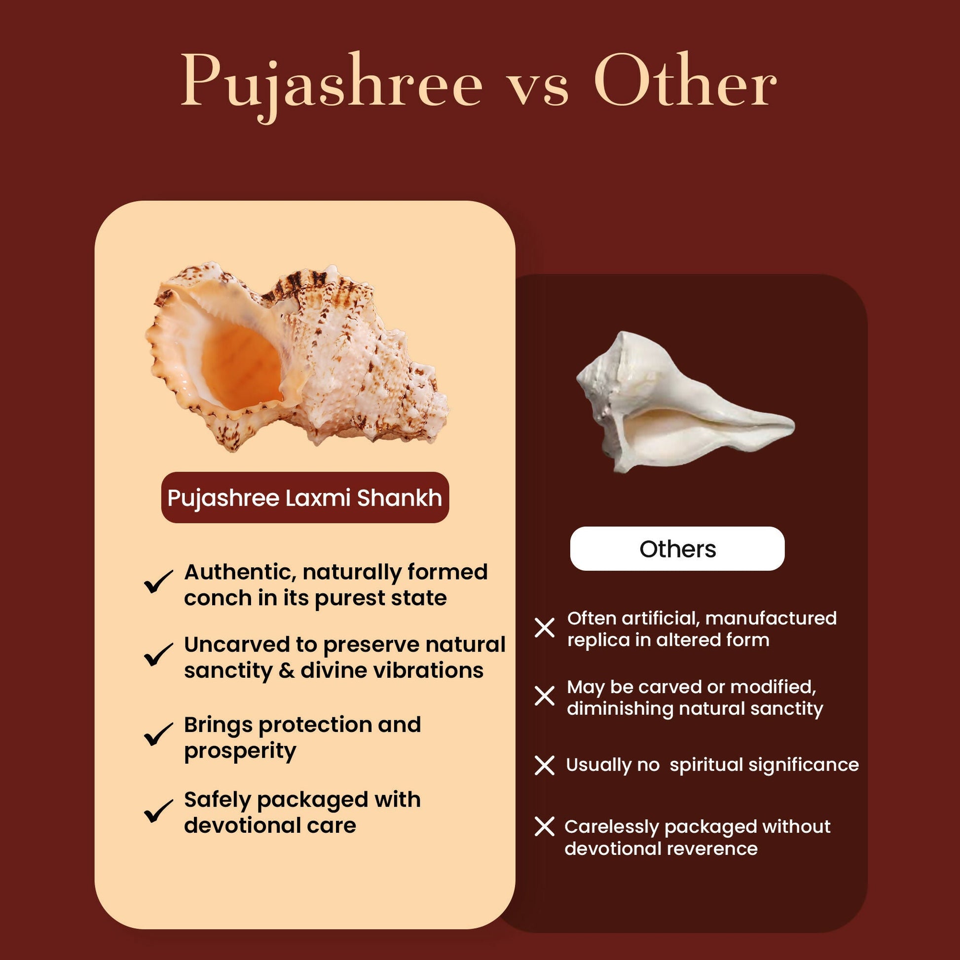 Pujashree Laxmi Shankh – Divine Conch