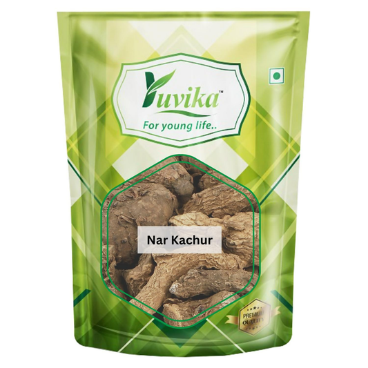 Yuvika Kali Haldi - Nar Kachur - Narkchaur - Curcuma Zerumbet - Zedoary Root - Black Turmeric 
