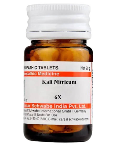 Dr. Willmar Schwabe India Kali Nitricum Trituration Tablets 