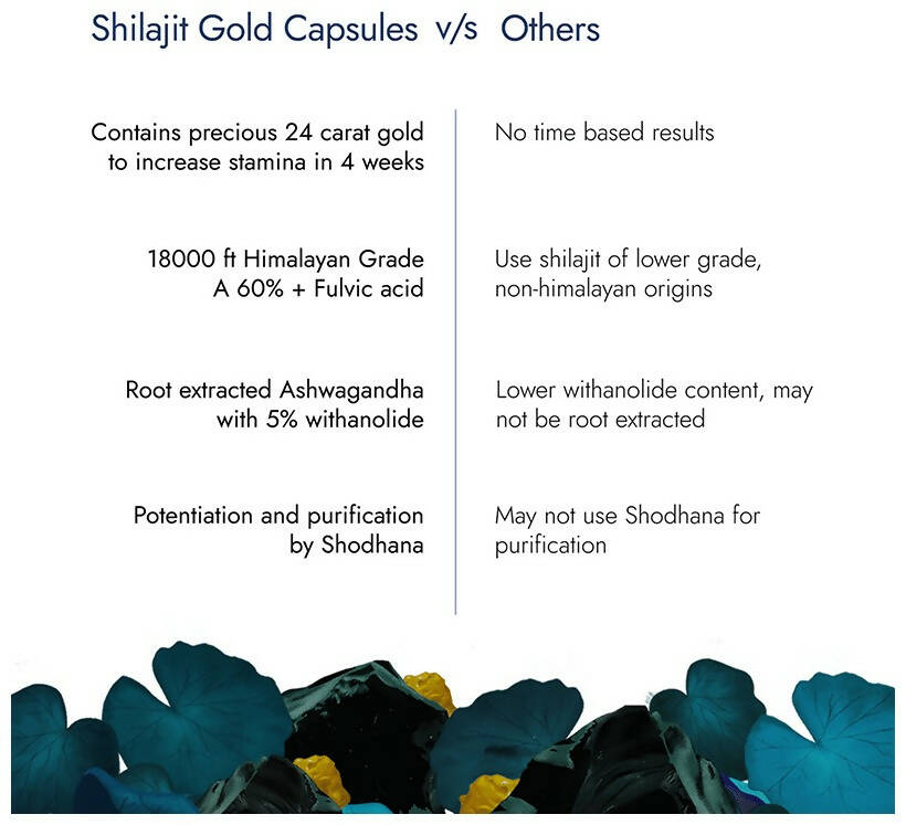 Kapiva Ayurveda Him Foods Sj Gold Capsules - Grab2buy