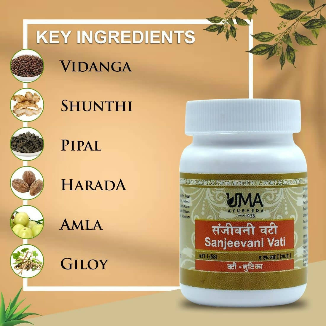 Uma Ayurveda Sanjeevani Vati 