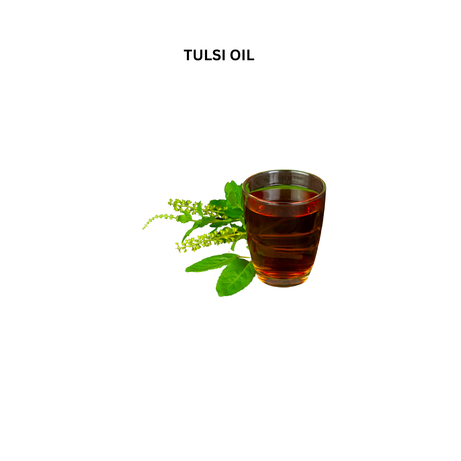 Songara Tulsi Oil