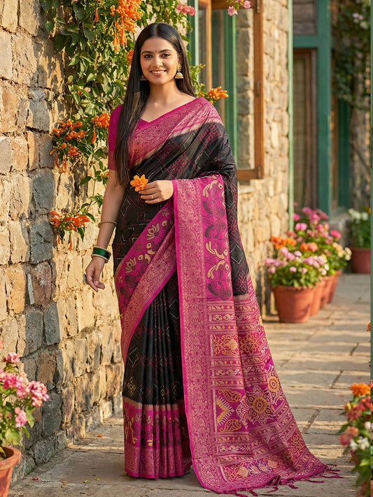 Anaita Black Pochampally Printed Saree With Blouse