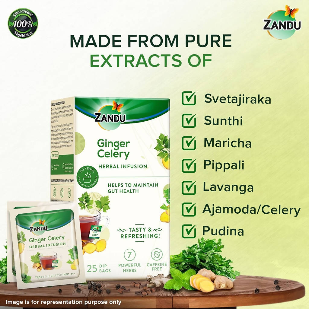 Zandu Ginger Celery Herbal Infusion Tea  Grab2Buy Zandu Grab2Buy