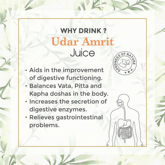 Four Seasons Udar Amrit Juice 