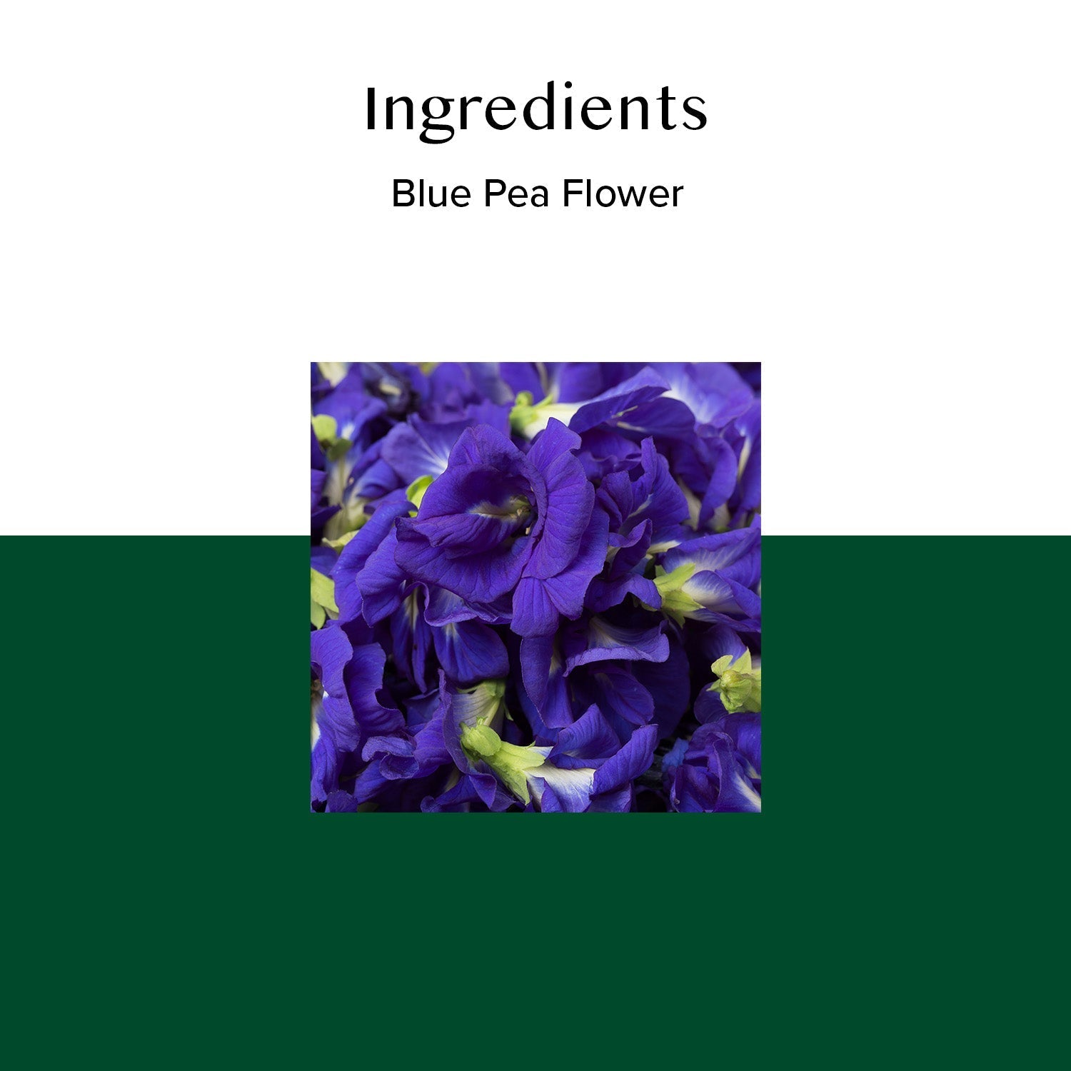 Butterfly Pea Flower Herbal Tea, 40 Count 