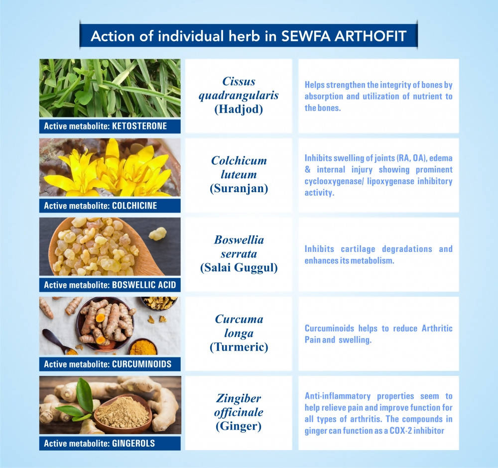 Sewfa Naturals Arthofit Capsules - Grab2buy