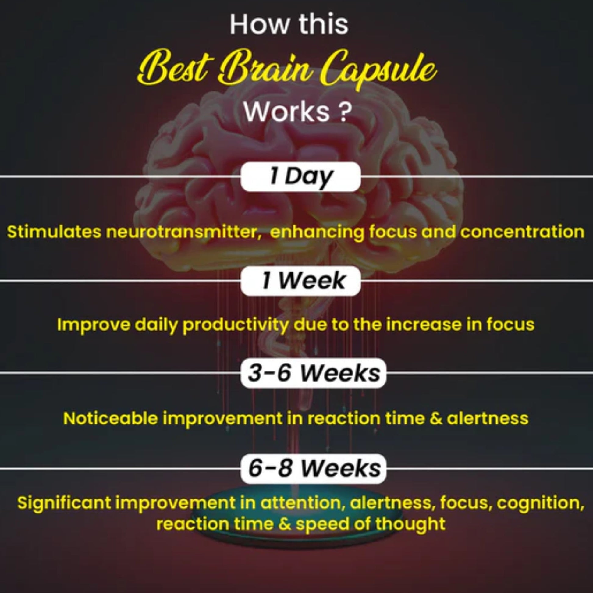 Cipzer Best Brain Capsules 