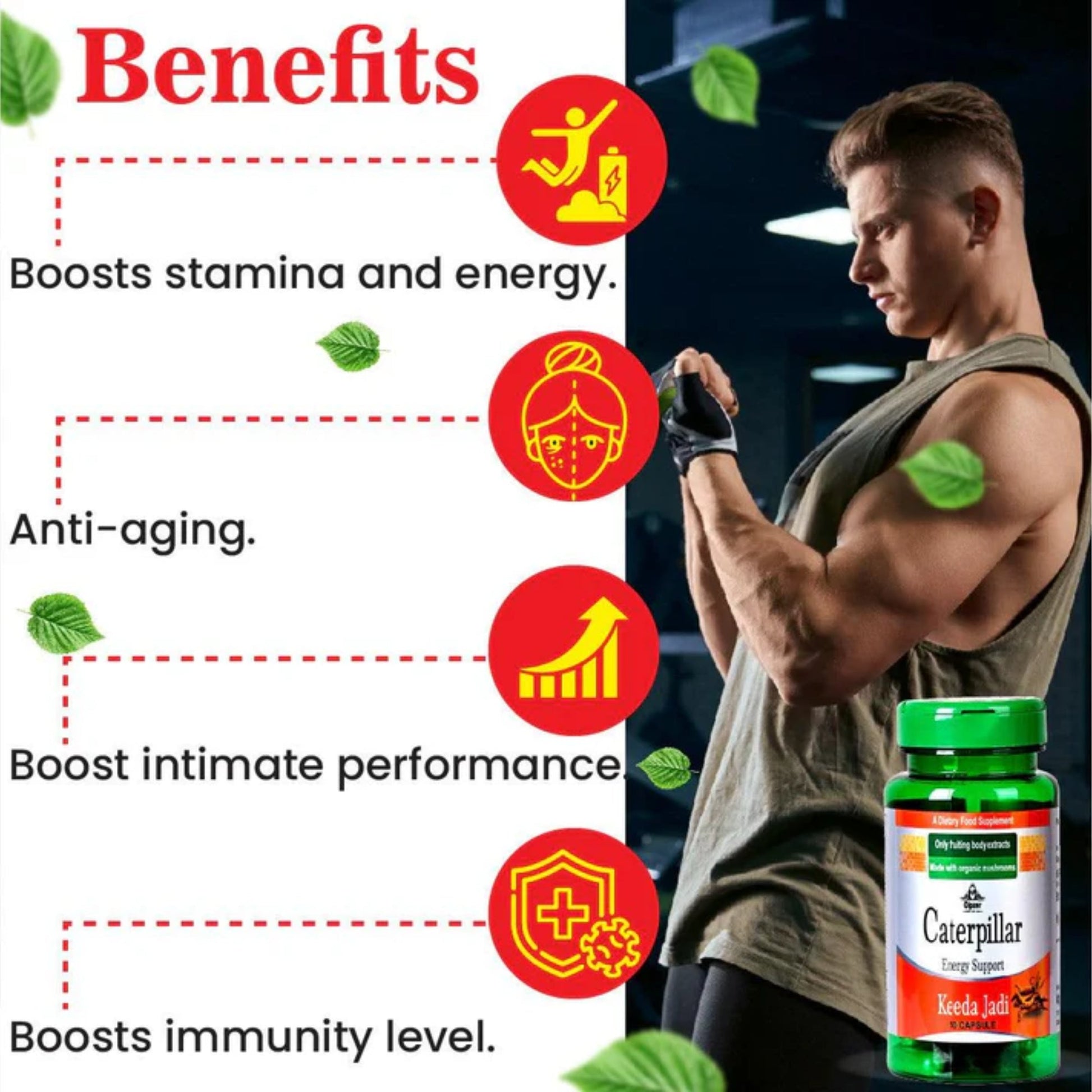 Cipzer Caterpillar Keeda Jadi Capsules 